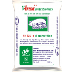 HN12S - Hỗn hợp cho heo nái nuôi con 